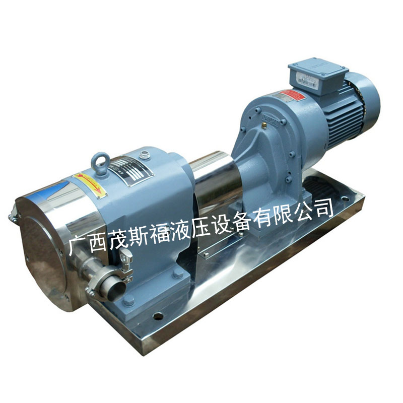 QBY/K-65不銹鋼轉(zhuǎn)子泵 