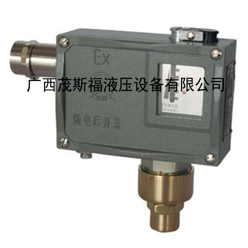 TLD-02壓力開關(guān)